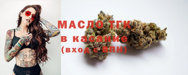 гашик Бородино