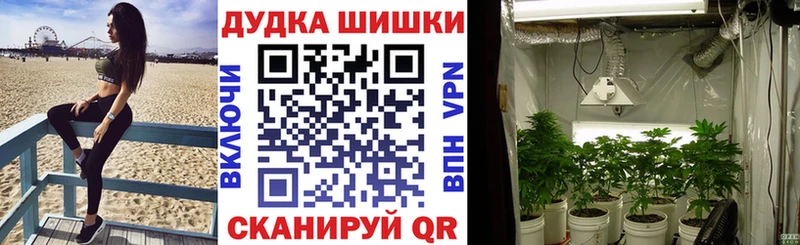 где продают наркотики  Тобольск  Конопля сатива 